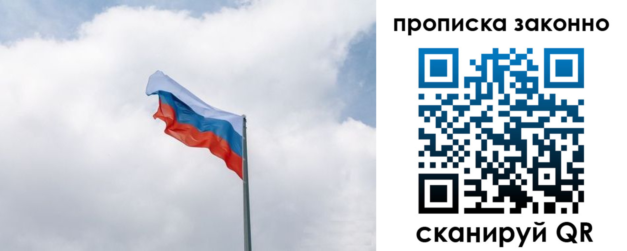 прописка поиск в Торопеце